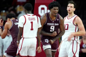 free picks, best free picks, daily free picks